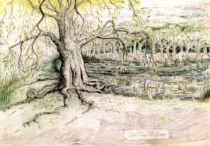 J.R.R._Tolkien_-_Old_Man_Willow
